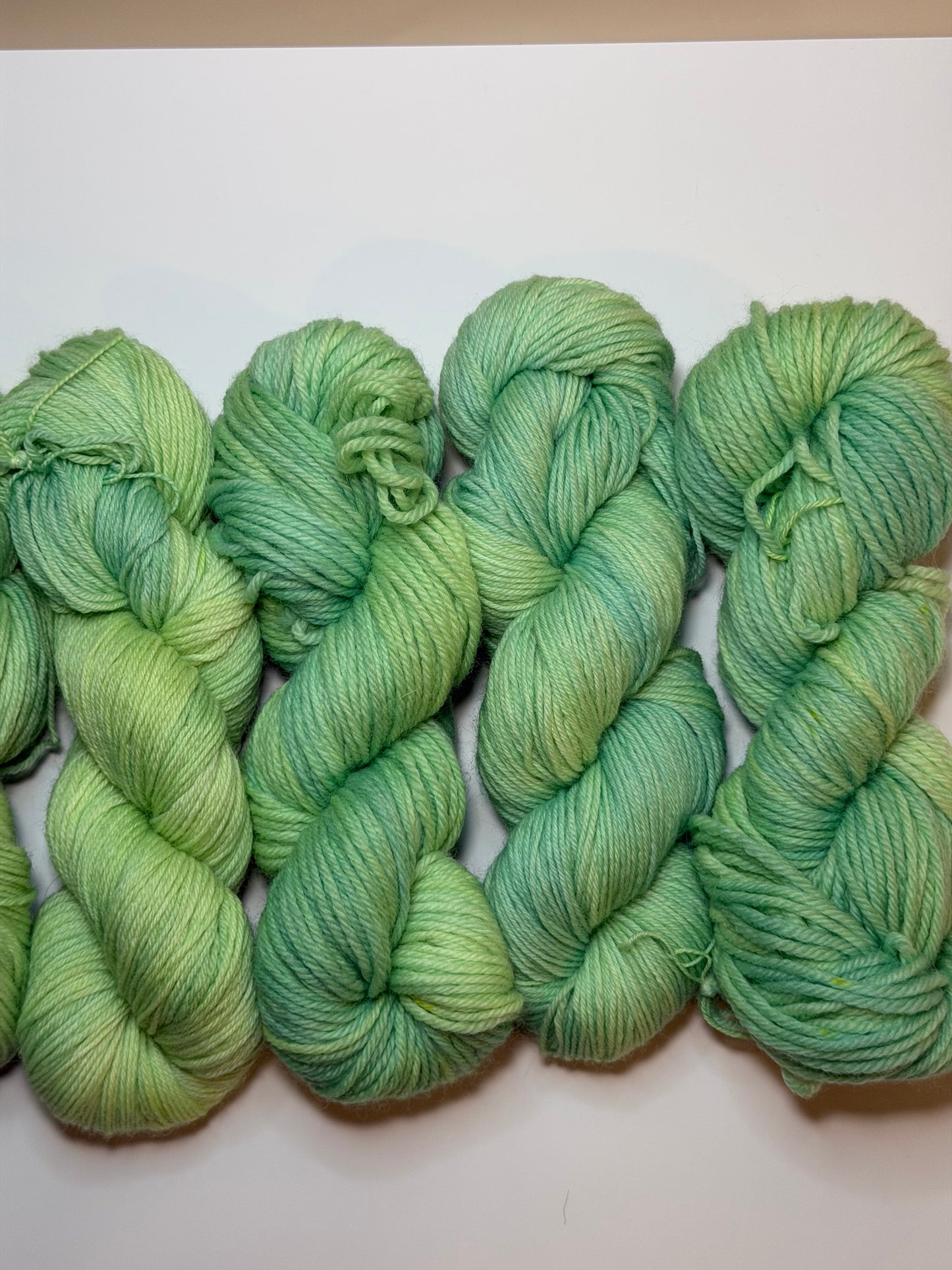 Meadow Hand Dyed Yarn