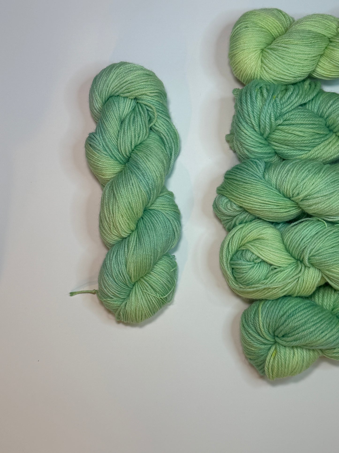 Meadow Hand Dyed Yarn