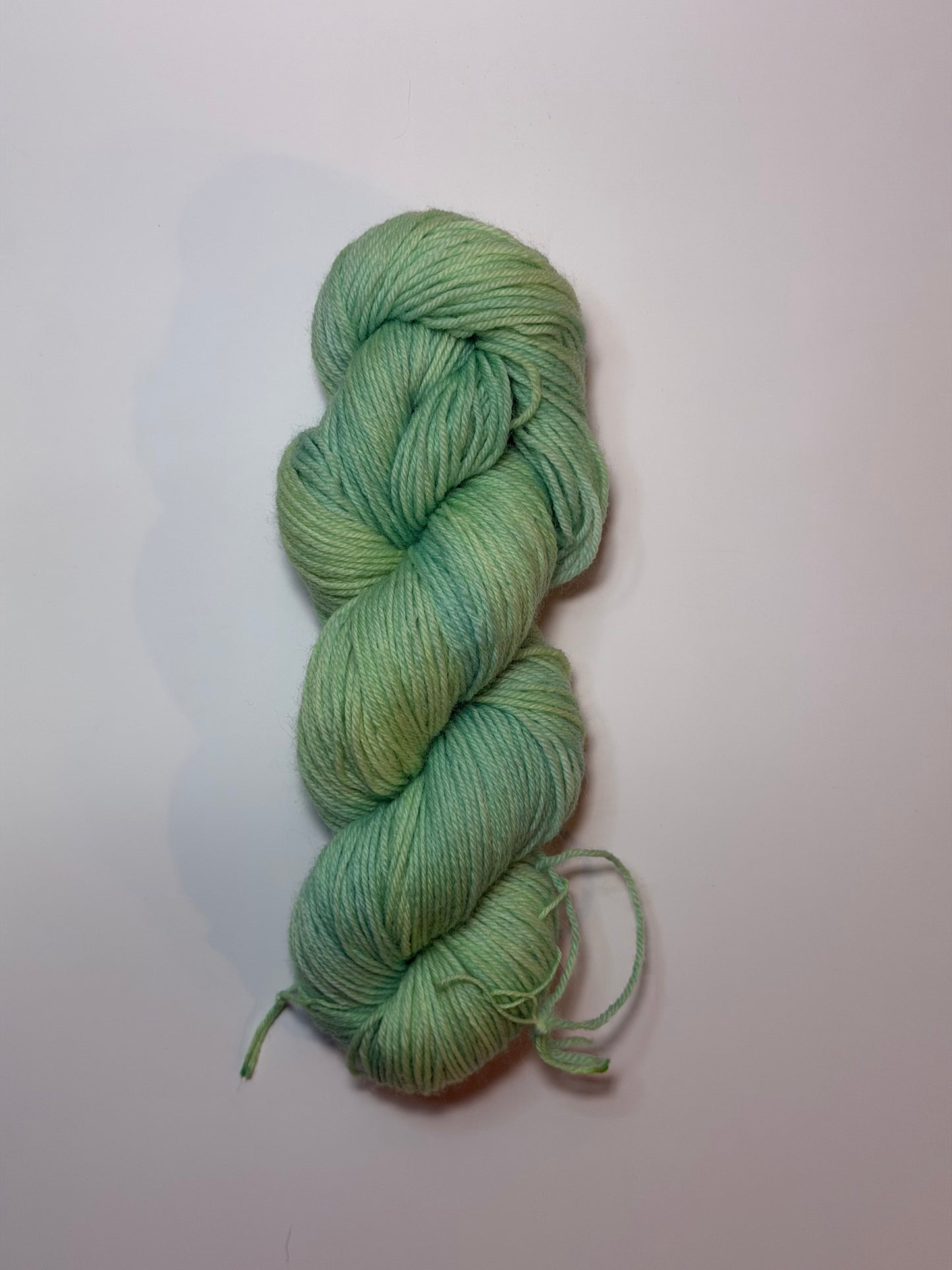 Meadow Hand Dyed Yarn