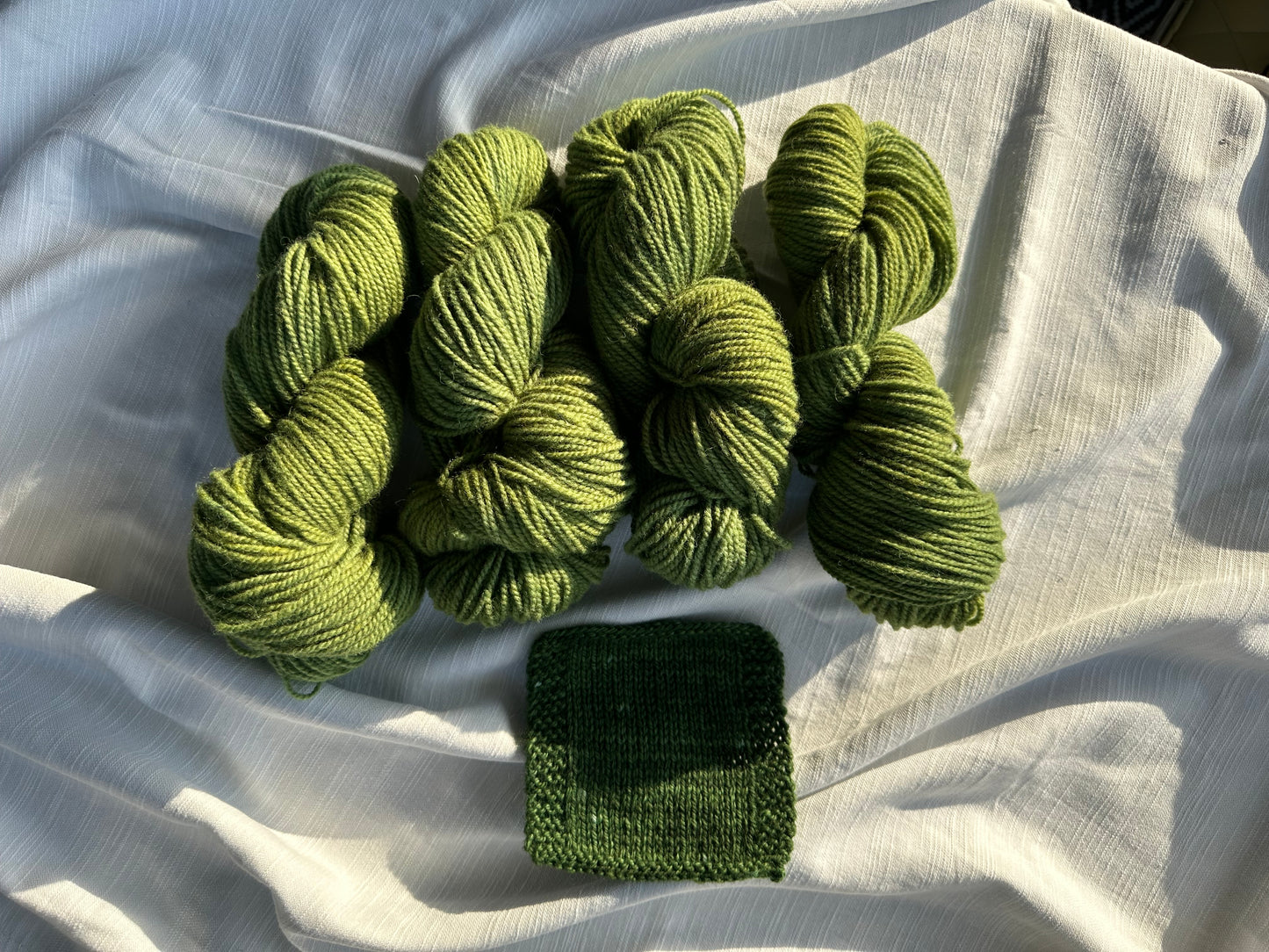“Grassroots” Hand-Dyed Yarn