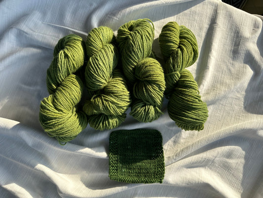 “Grassroots” Hand-Dyed Yarn