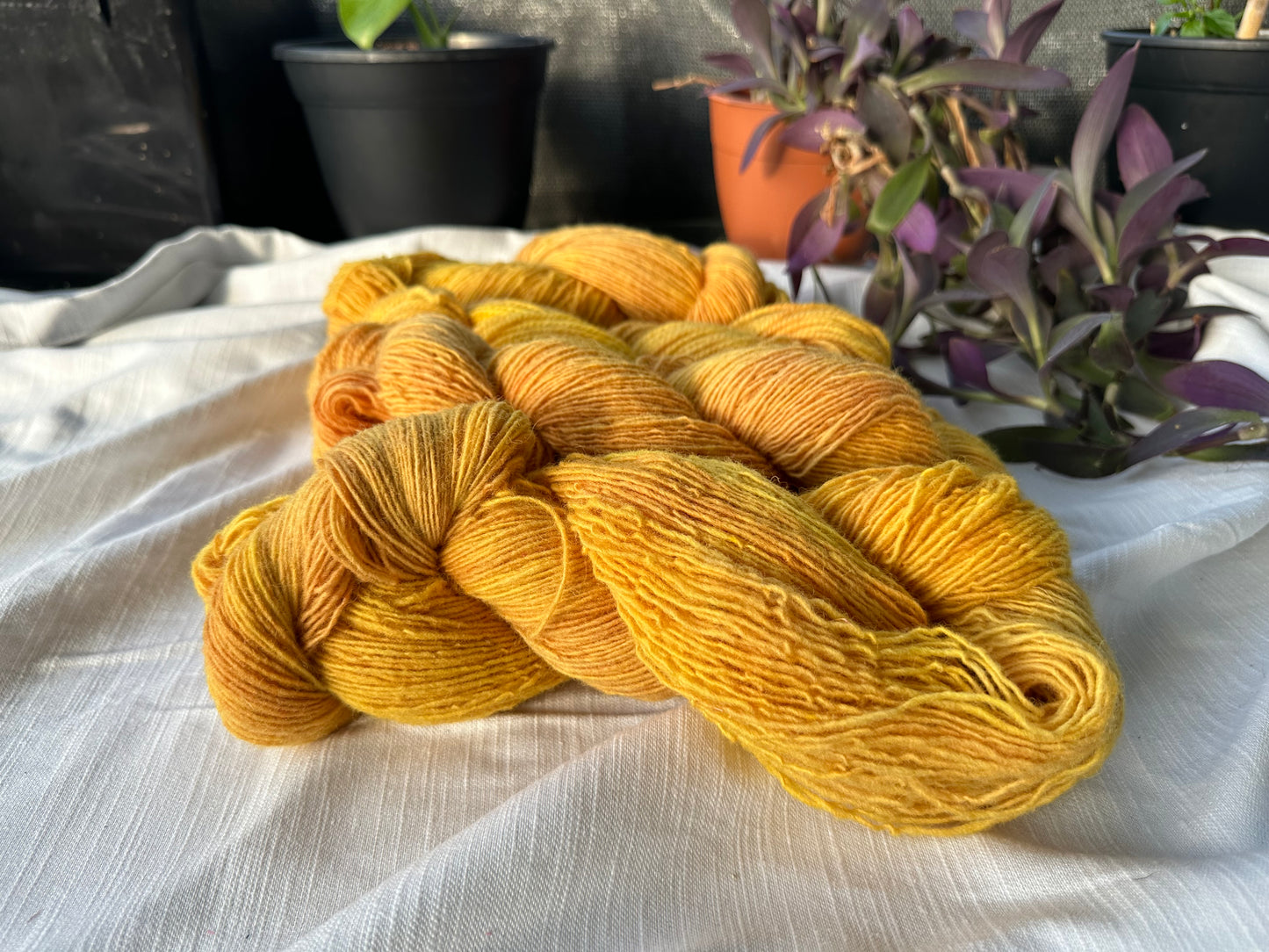 “Bee Pollen” Hand-Dyed Yarn